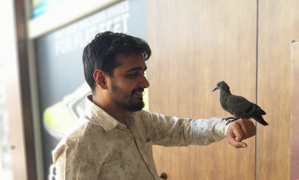 umeshkumar with pigeon